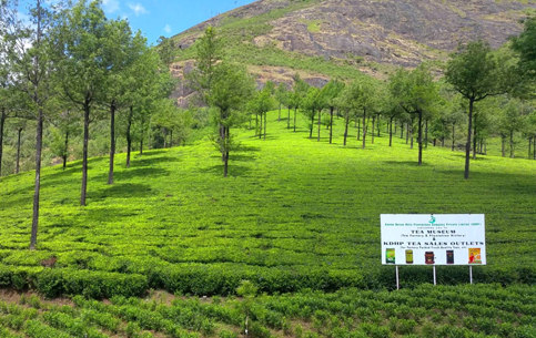 Munnar Sightseeing Places