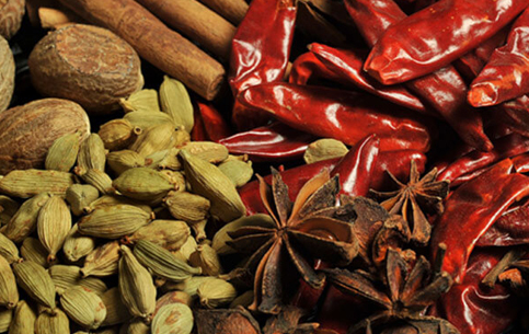 Cinnamon Gardens Spices Plantation